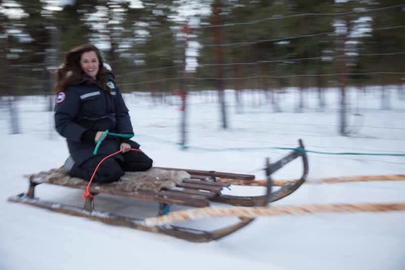 Reindeer and Saunas in Sweden -14