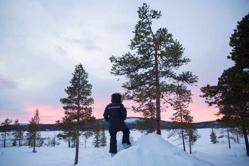 Reindeer and Saunas in Sweden -18