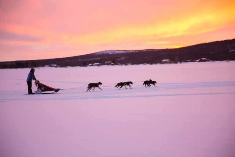 Reindeer and Saunas in Sweden -32