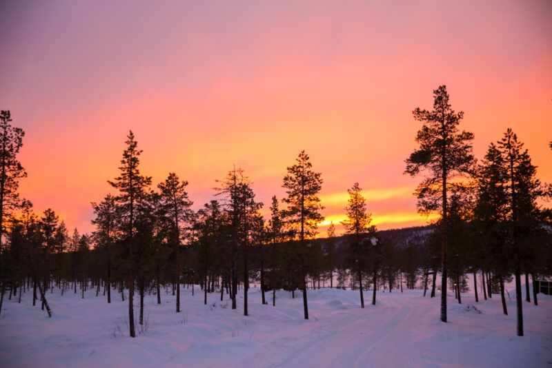 Reindeer and Saunas in Sweden -33