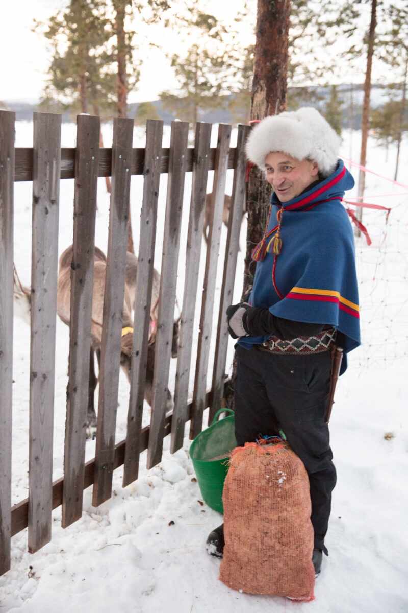 Reindeer and Saunas in Sweden -4