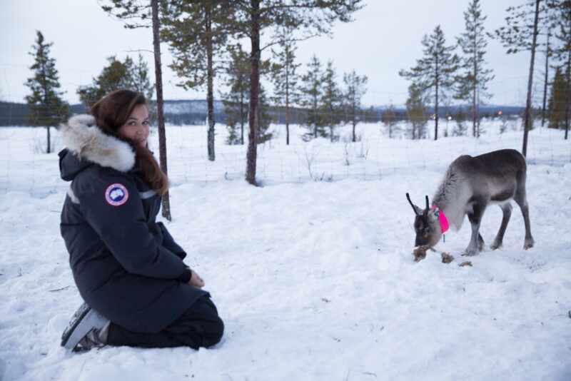 Reindeer and Saunas in Sweden -7