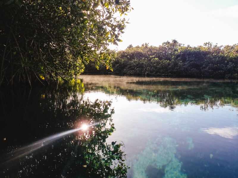 Casa Cenote, Tulum -13