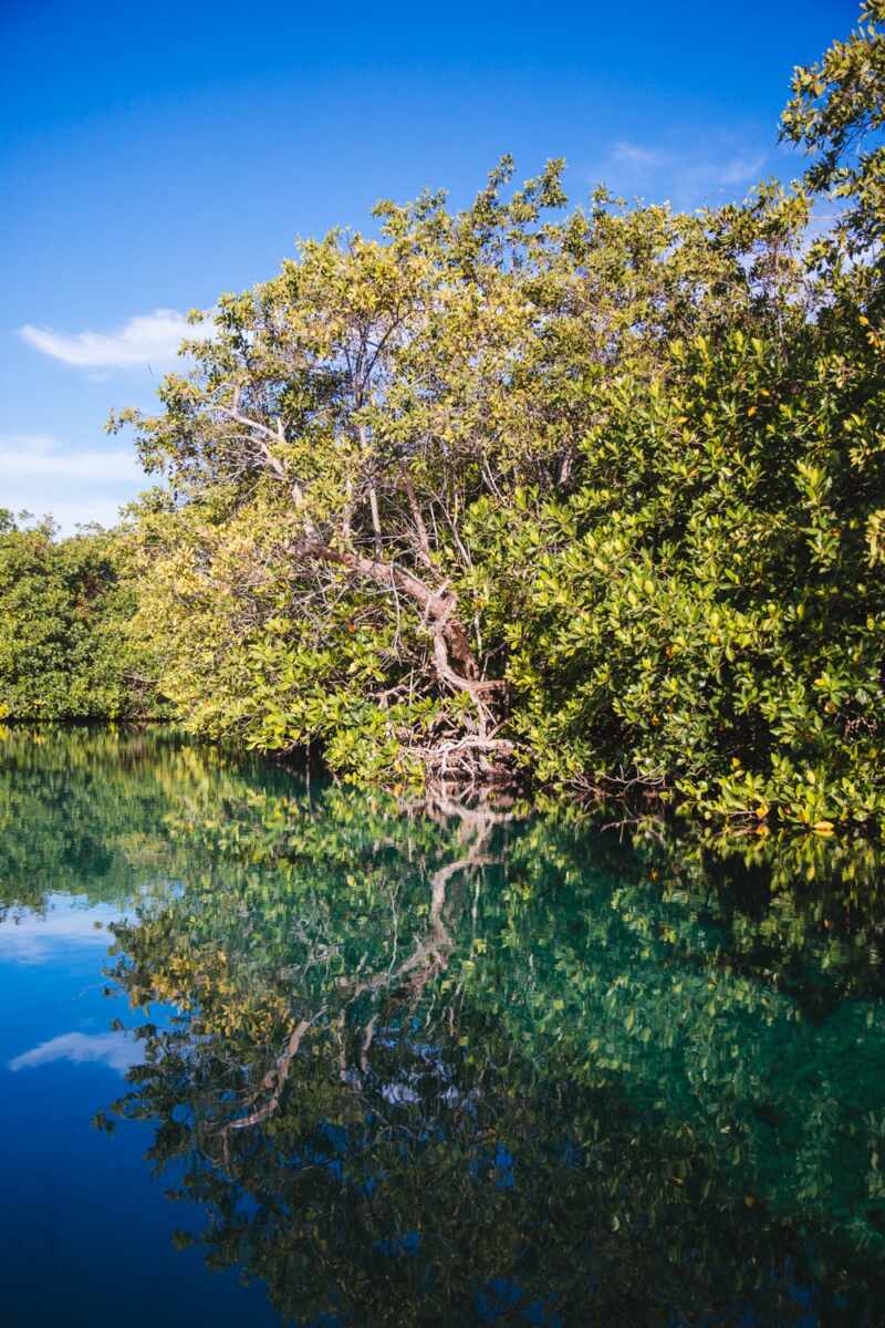 Casa Cenote, Tulum -15
