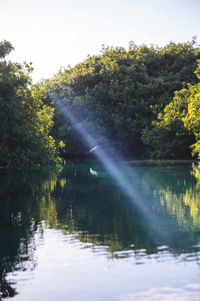 Casa Cenote, Tulum -21
