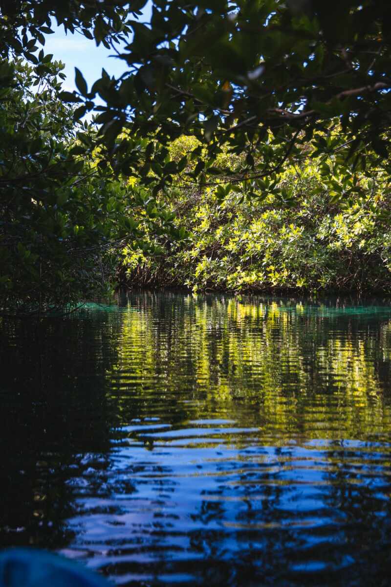 Casa Cenote, Tulum -25