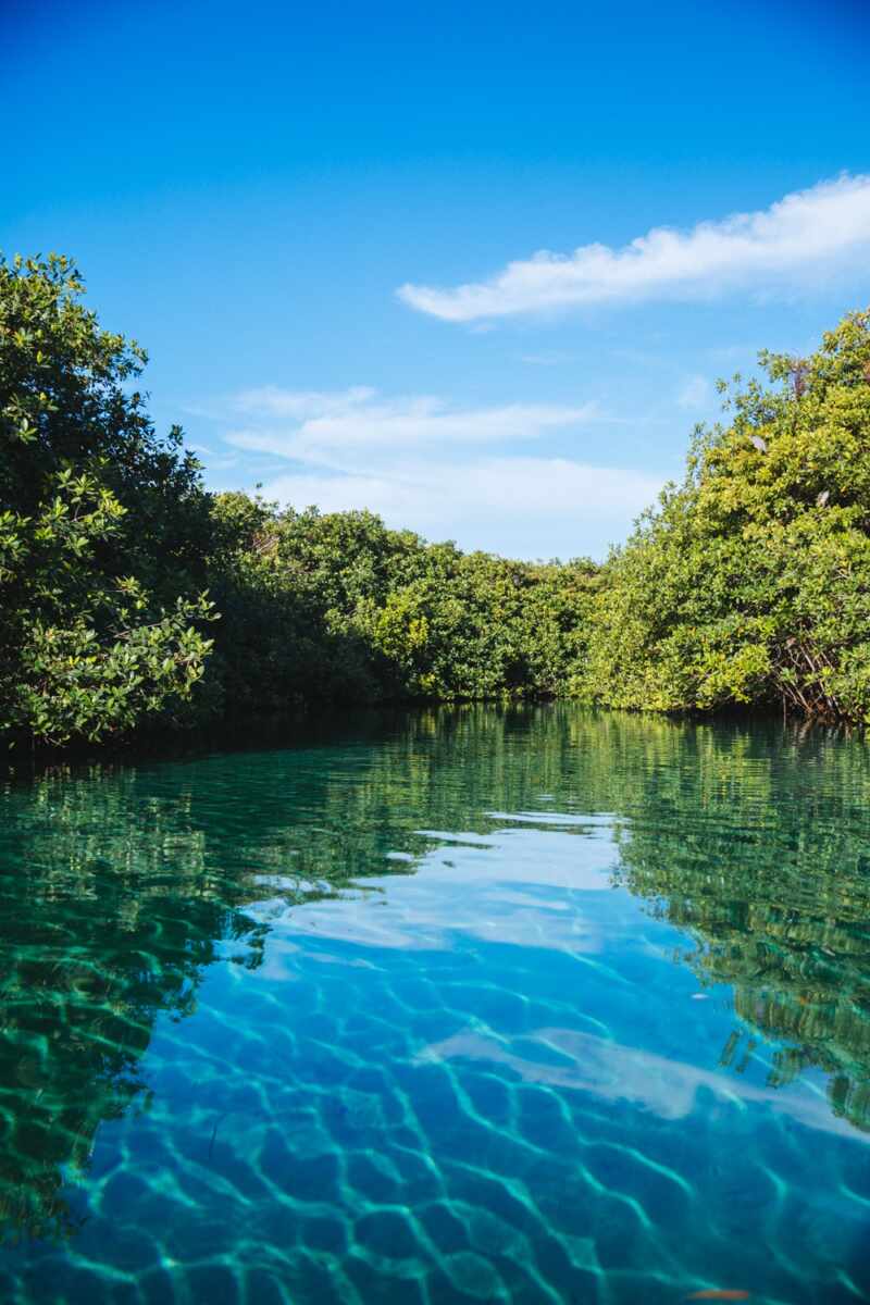 Casa Cenote, Tulum -9