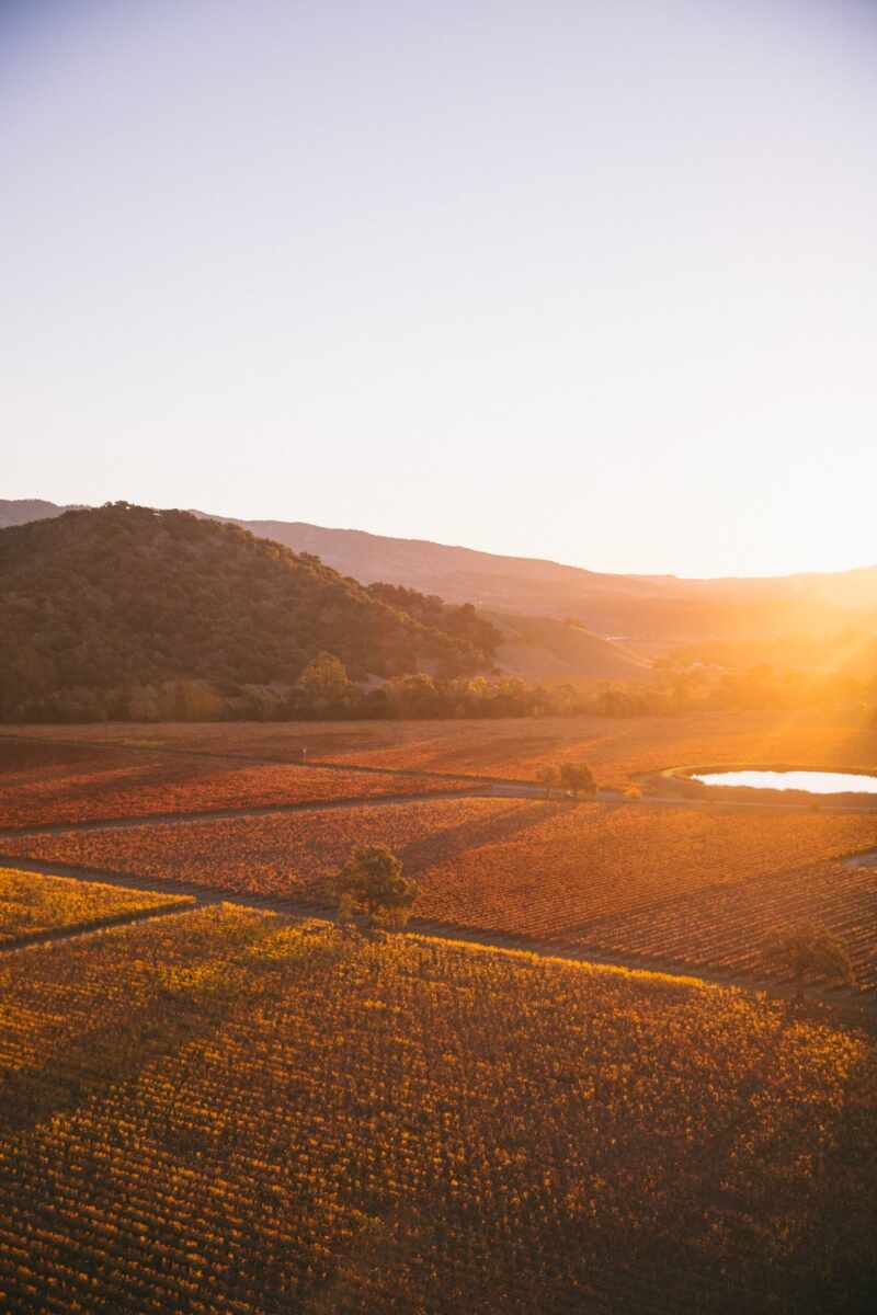 Hot-Air-Balloon-Napa-9