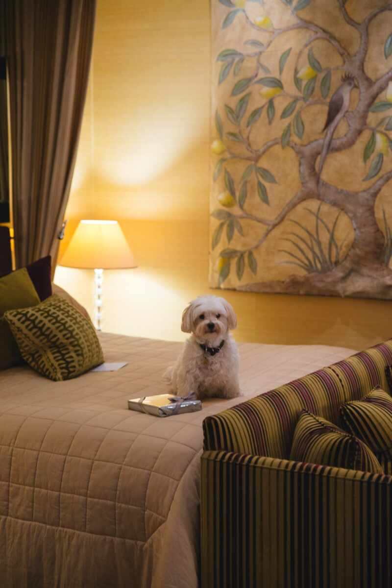 Le Manoir Oxford-11