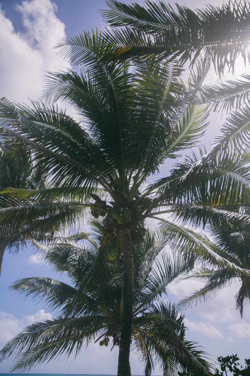 Mexican retreat-18