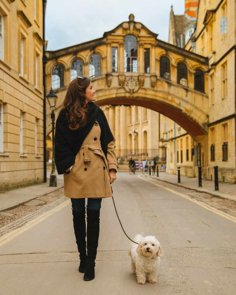 Oxford Blog -10