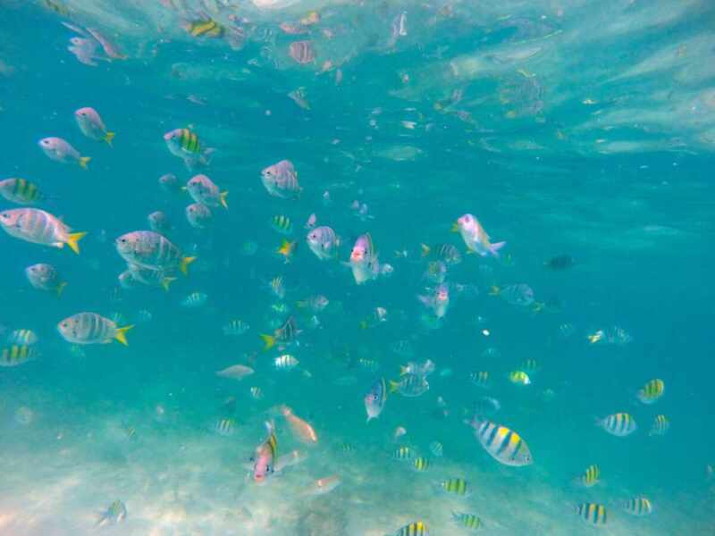 island+trip+thailand+-+39