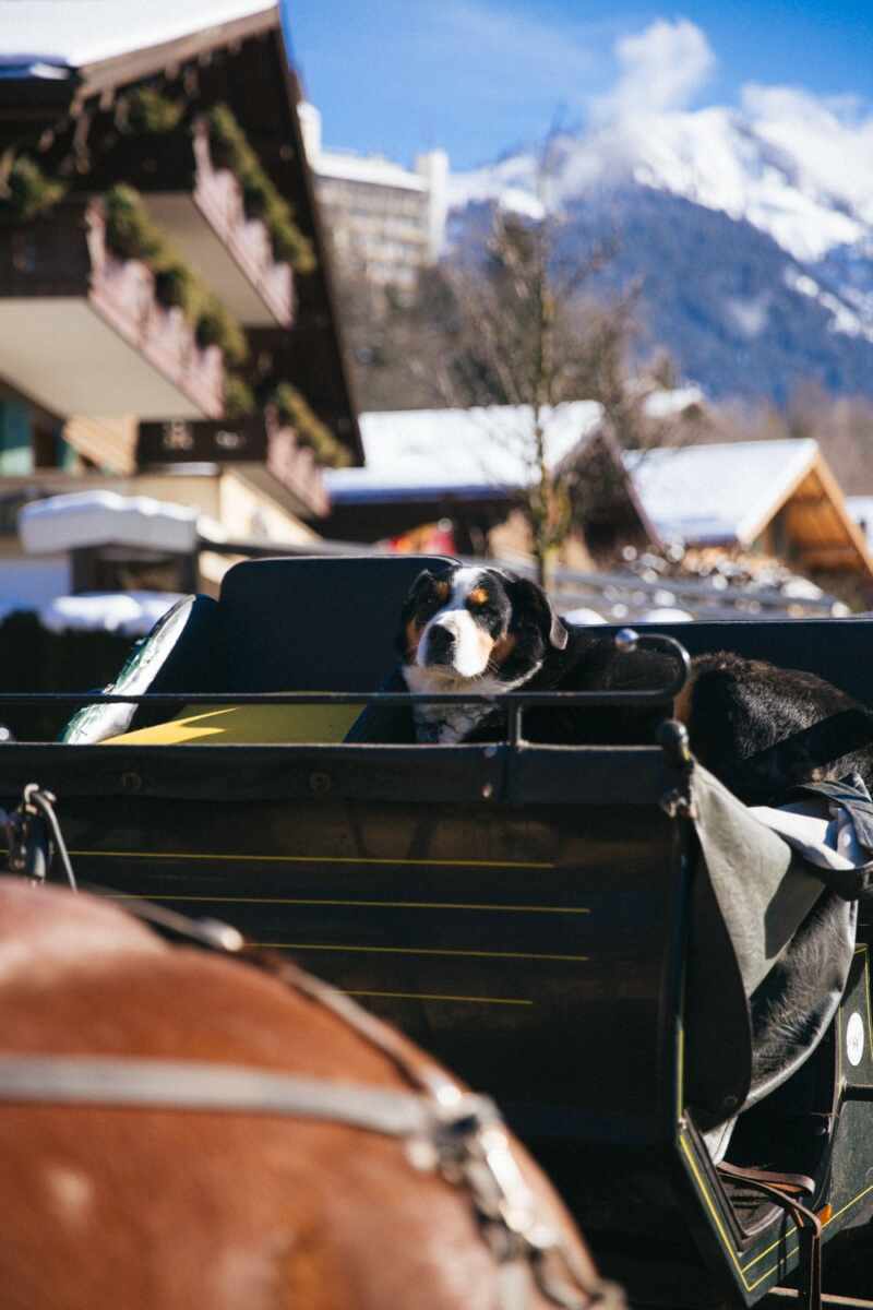 Snow Day in Gstaad, Switzerland - The Londoner