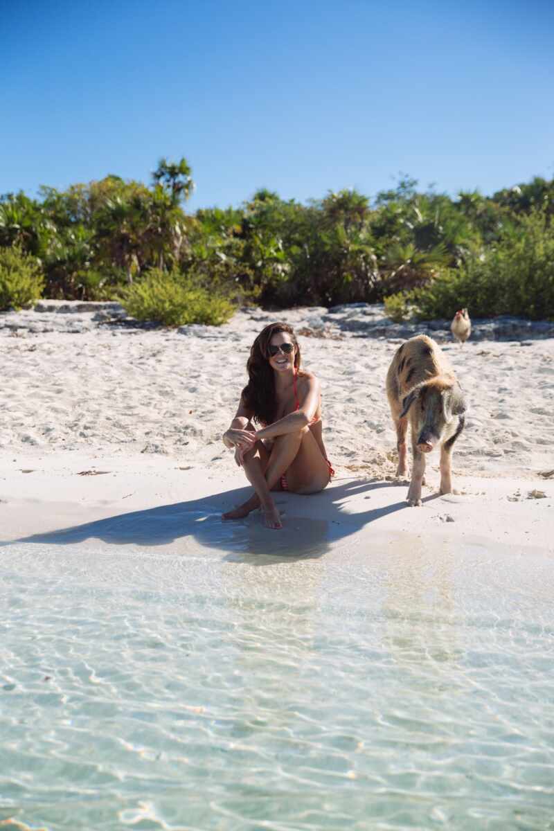 Swimming Pigs - Bahamas-16