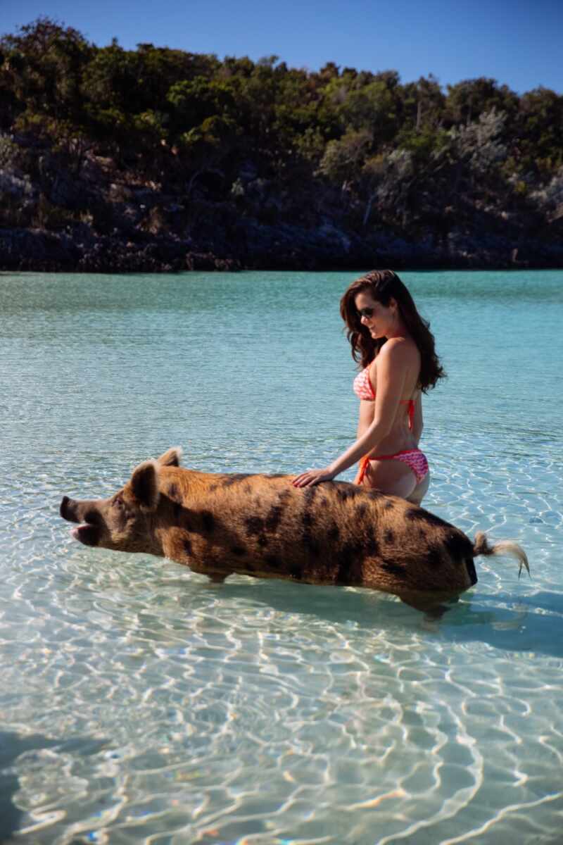 Swimming Pigs - Bahamas-18
