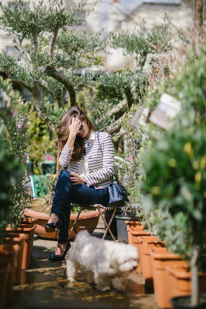 Between the olive trees