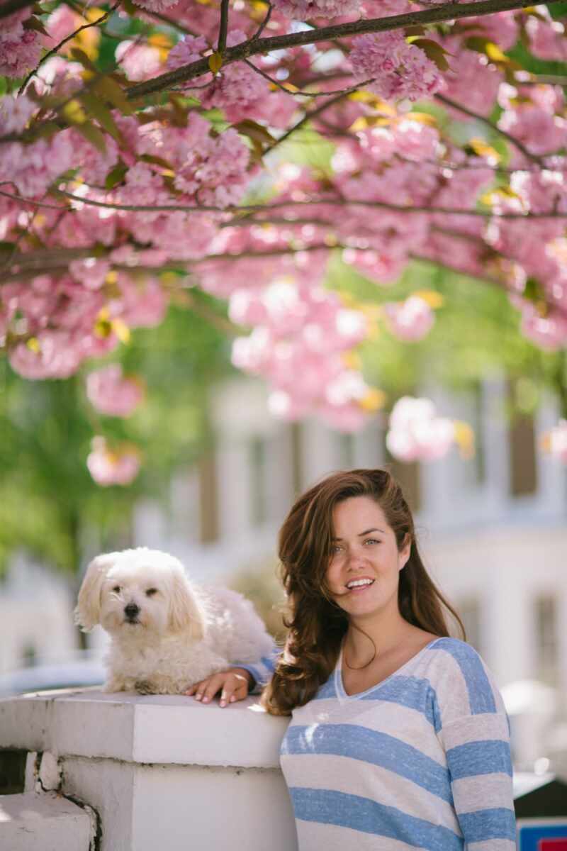 Blossom and puppies in London