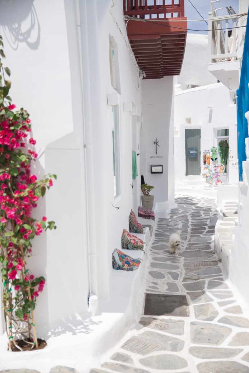 Mykonos Greece-49