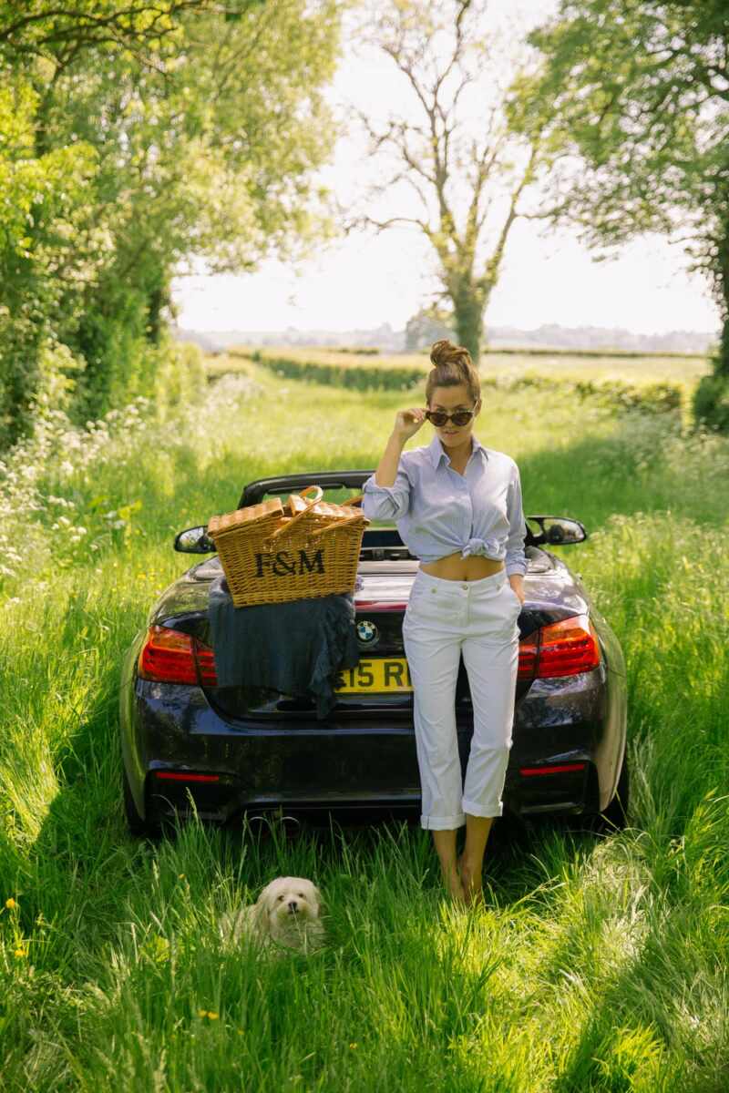 A Picnic For Two -2