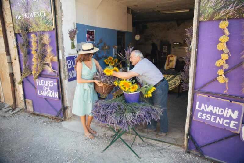 Lavender in Provence-12