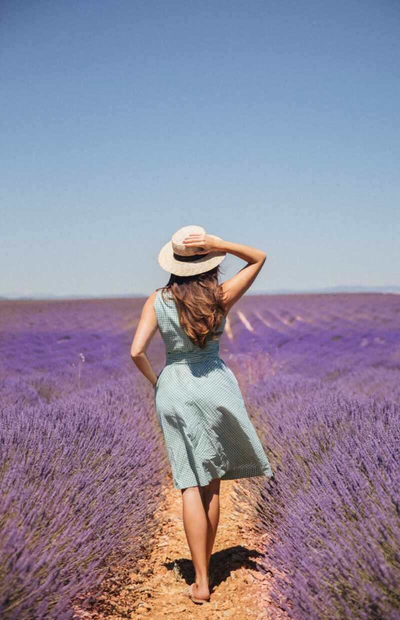 Lavender in Provence-29