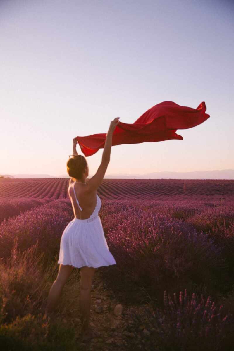 Picnic in French lavender fields 