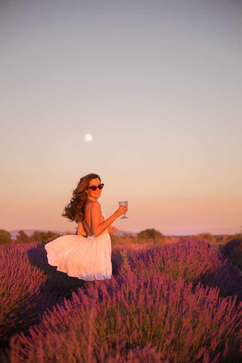 Lavender fields at sunset