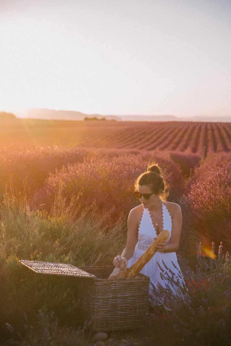 Sunset picnic in Provence