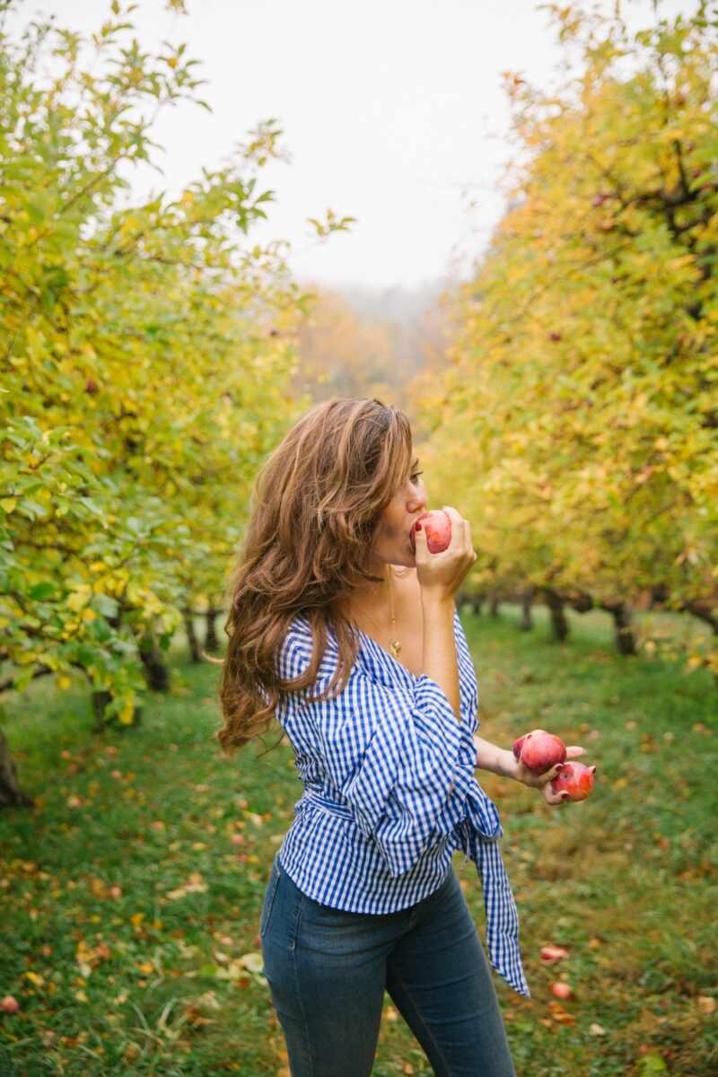 Apple picking (and eating!) in the mountains