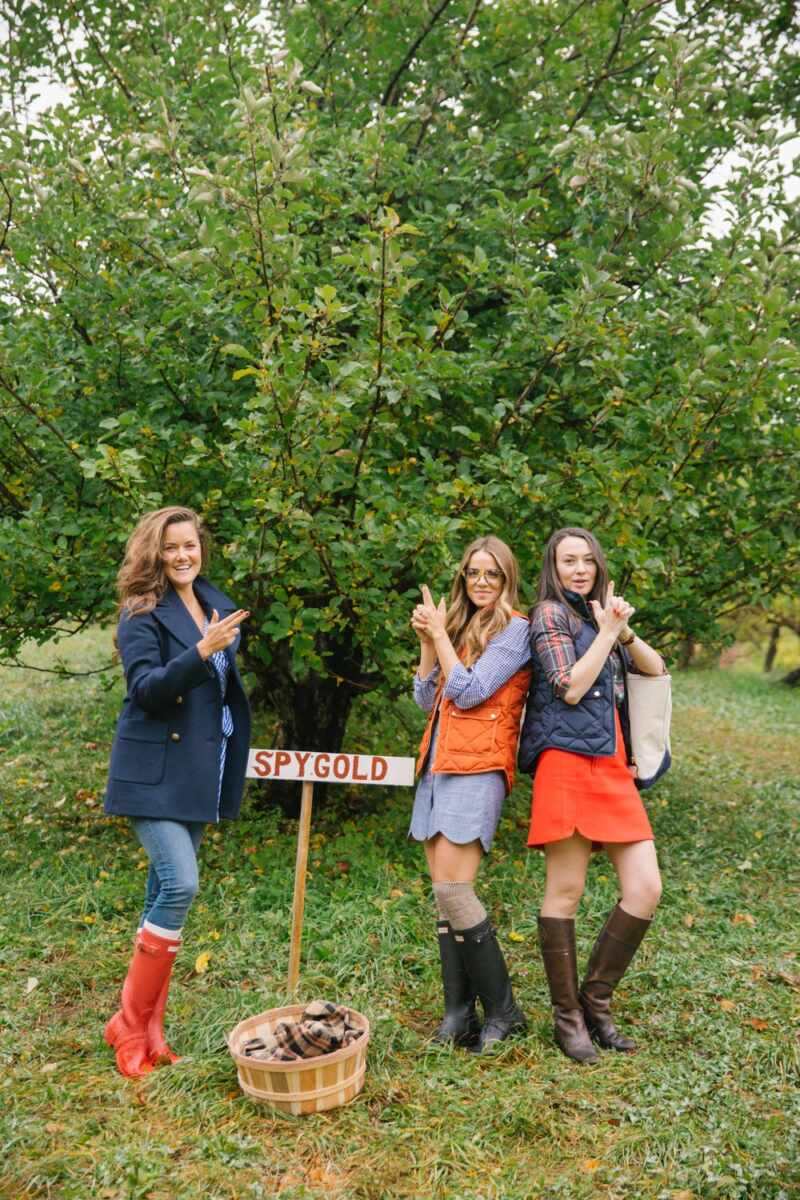 apple-picking-new-england-4