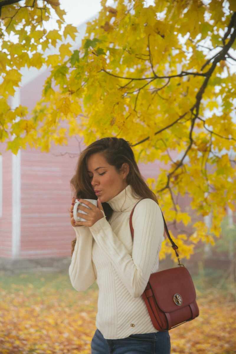 Cosy and misty mornings