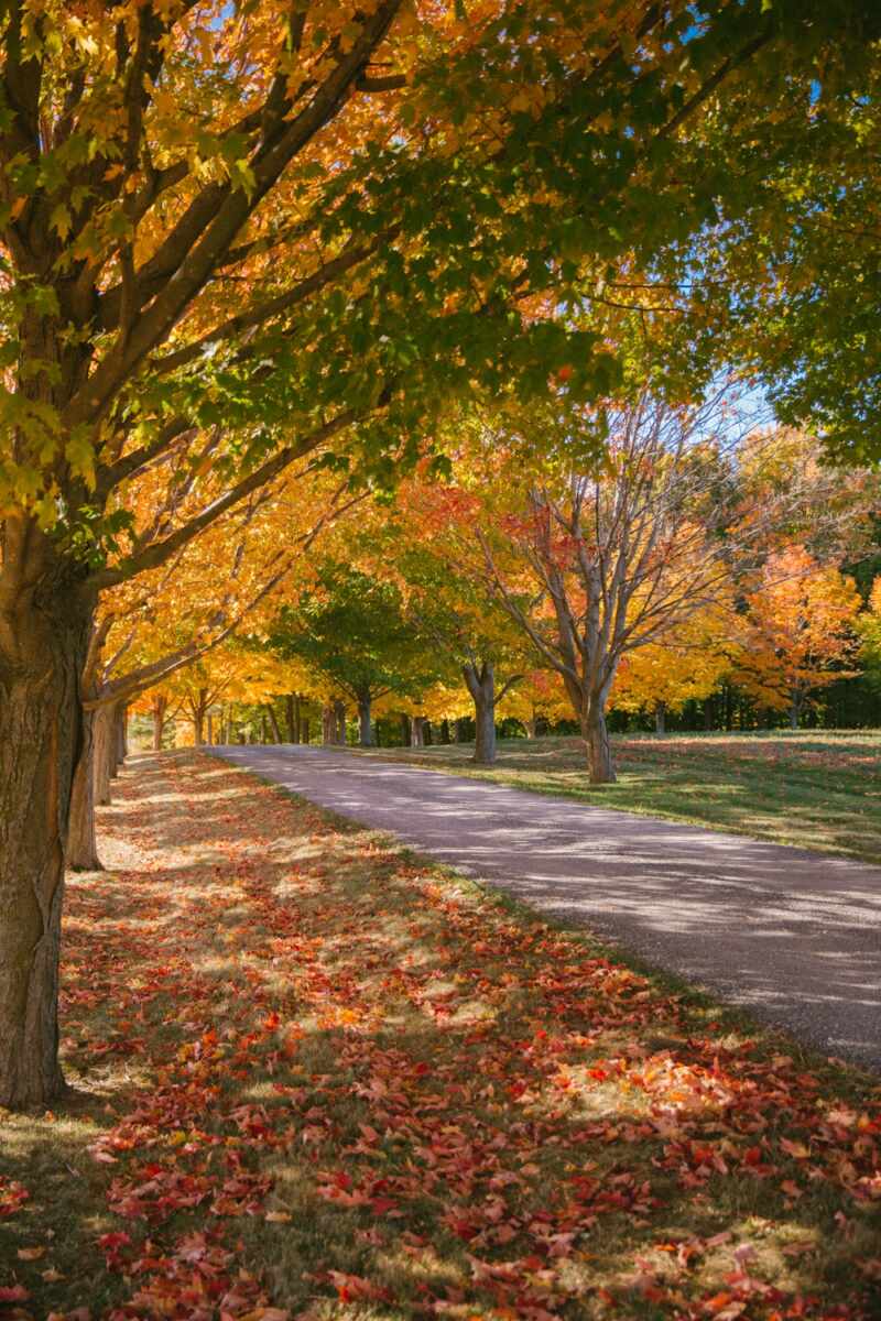 new-england-fall-17