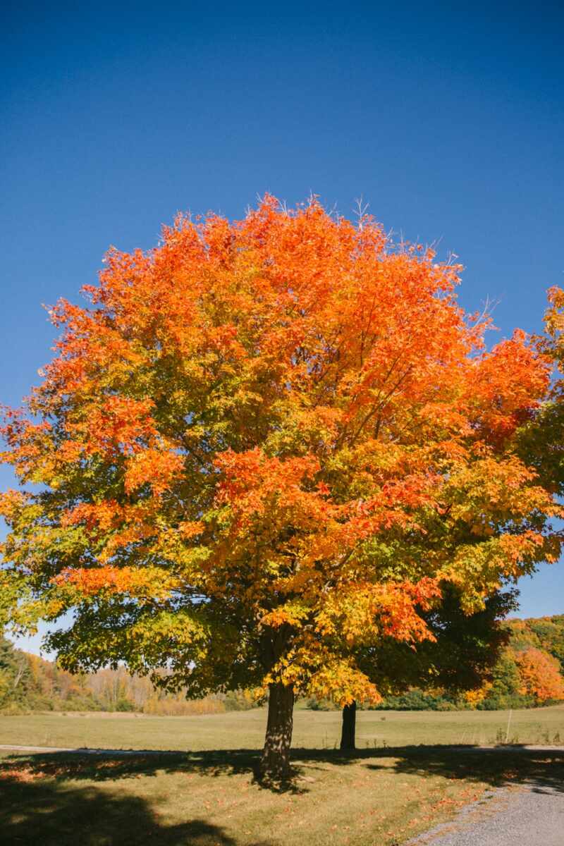 New England in the Fall