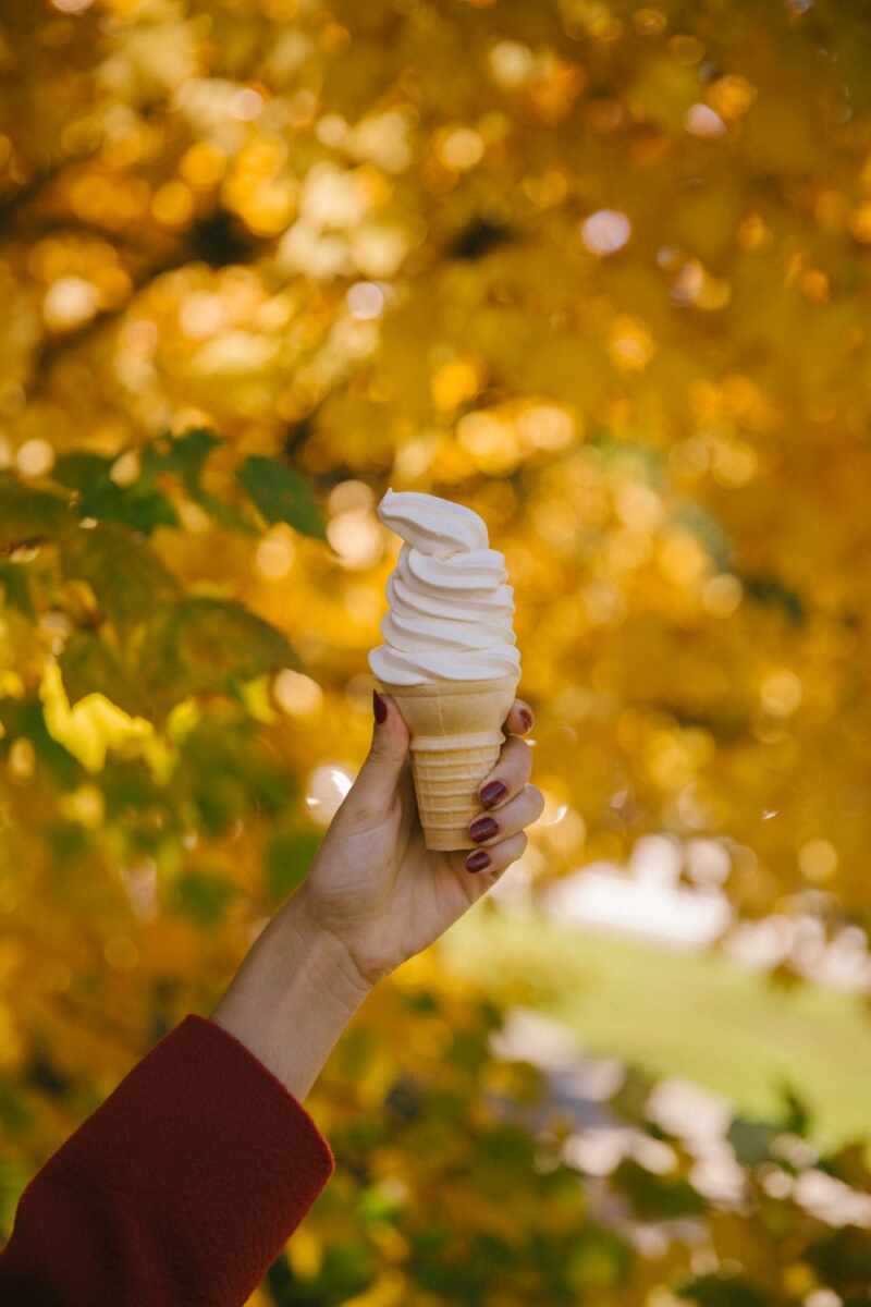 Ice-Cream in Autumn