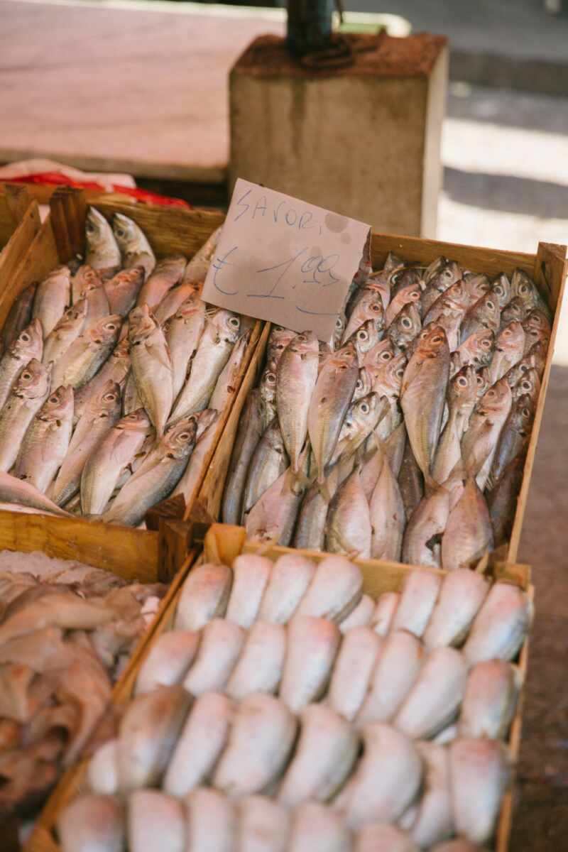 palermo-sicily-16