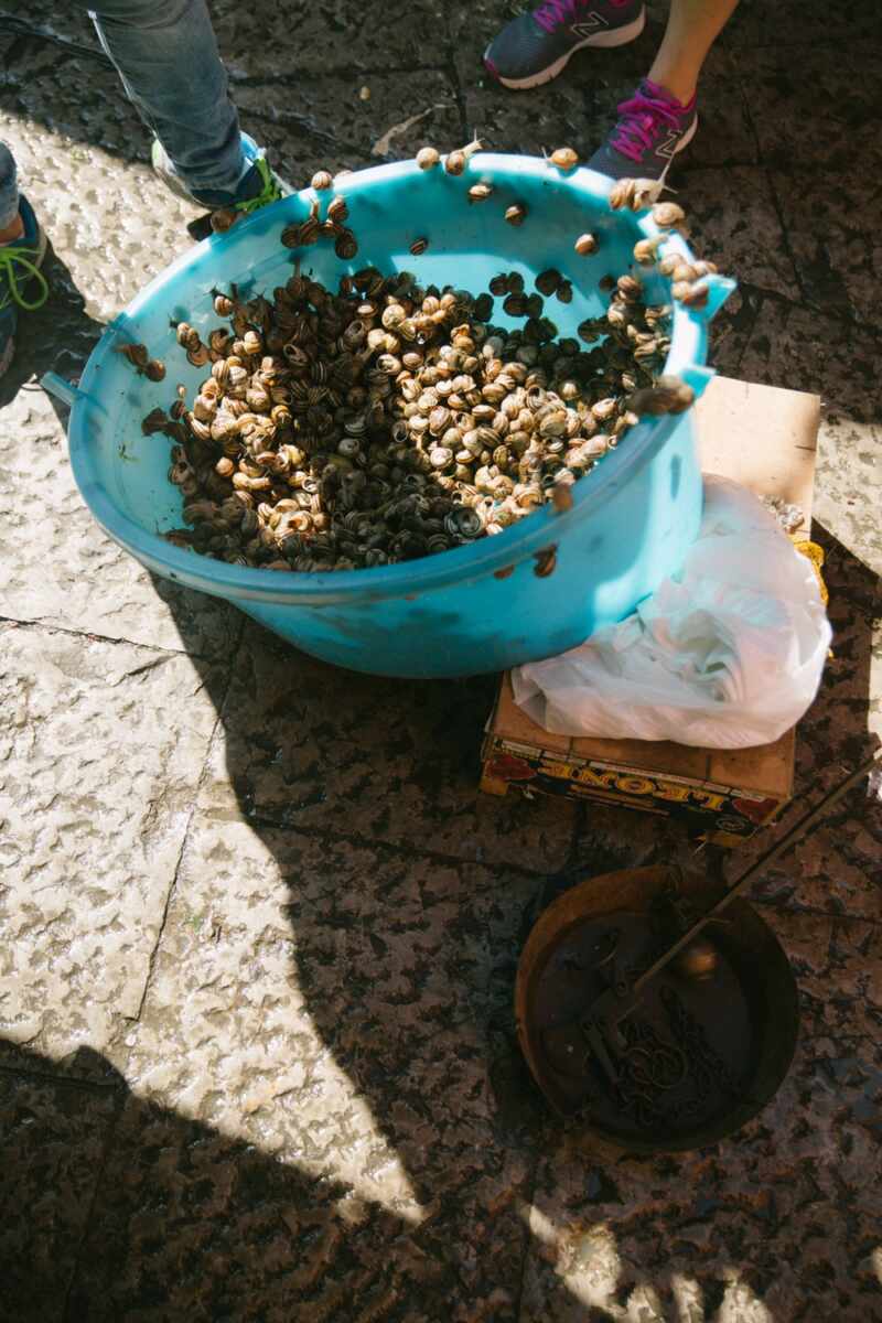 palermo-sicily-22