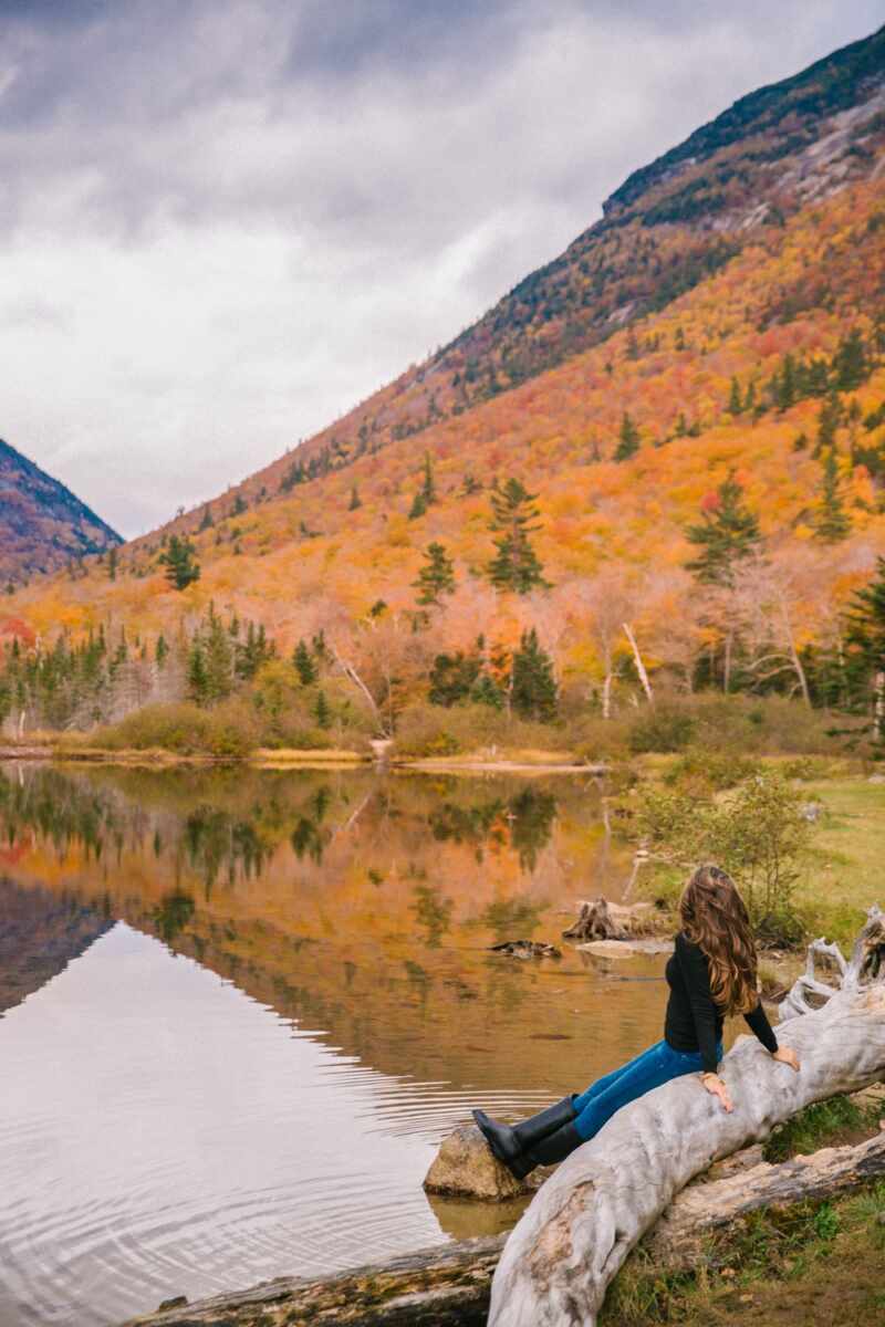 white-mountains-in-fall-30