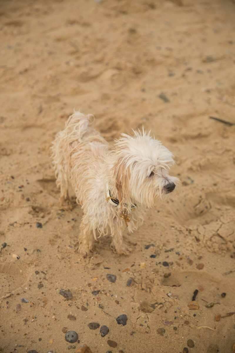 british-staycation-20