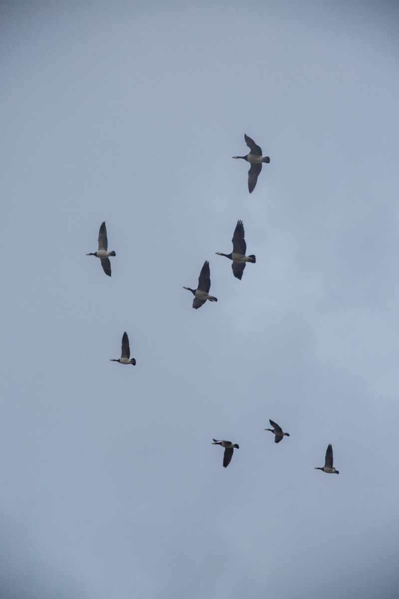 british-staycation-22