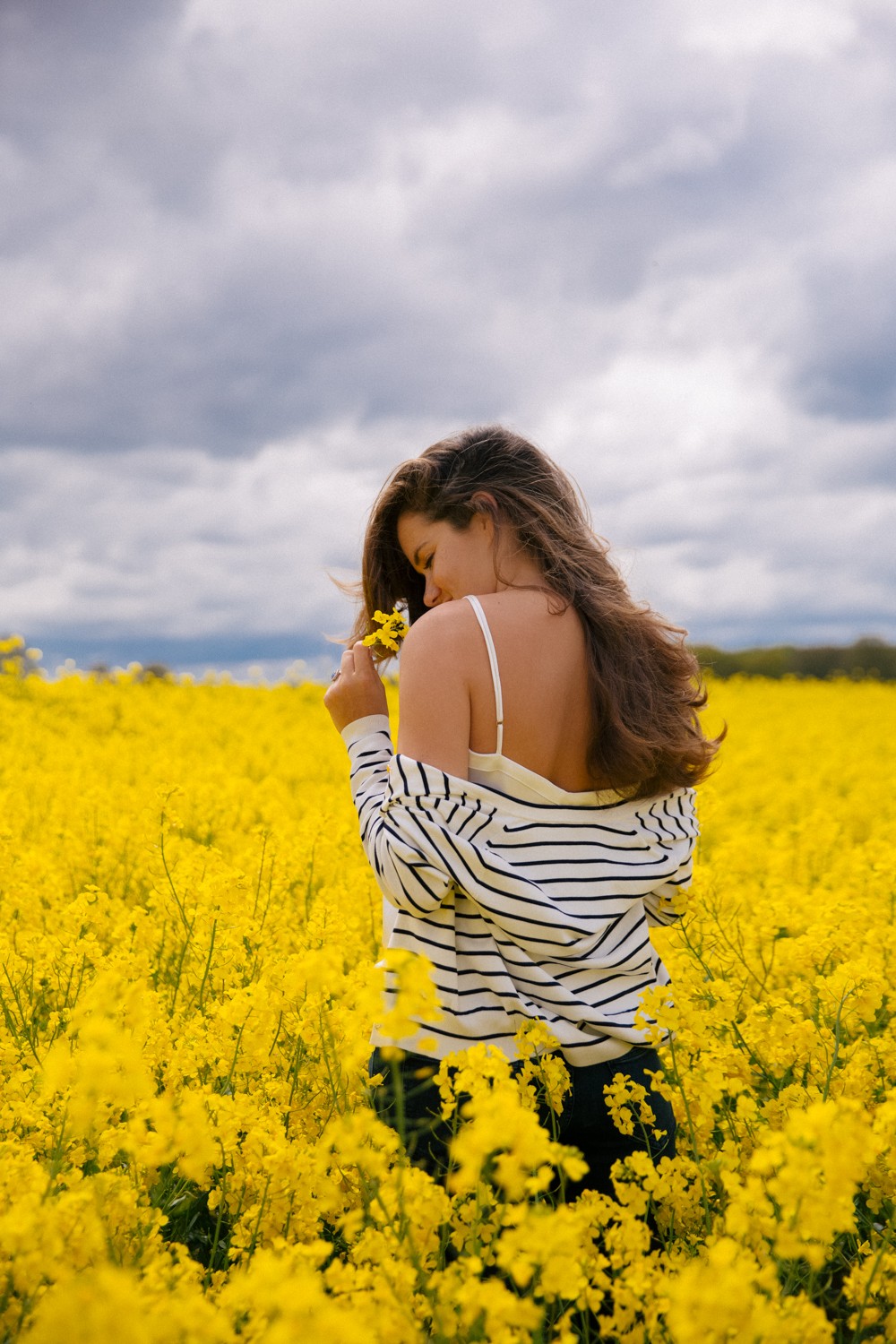 Fields of gold