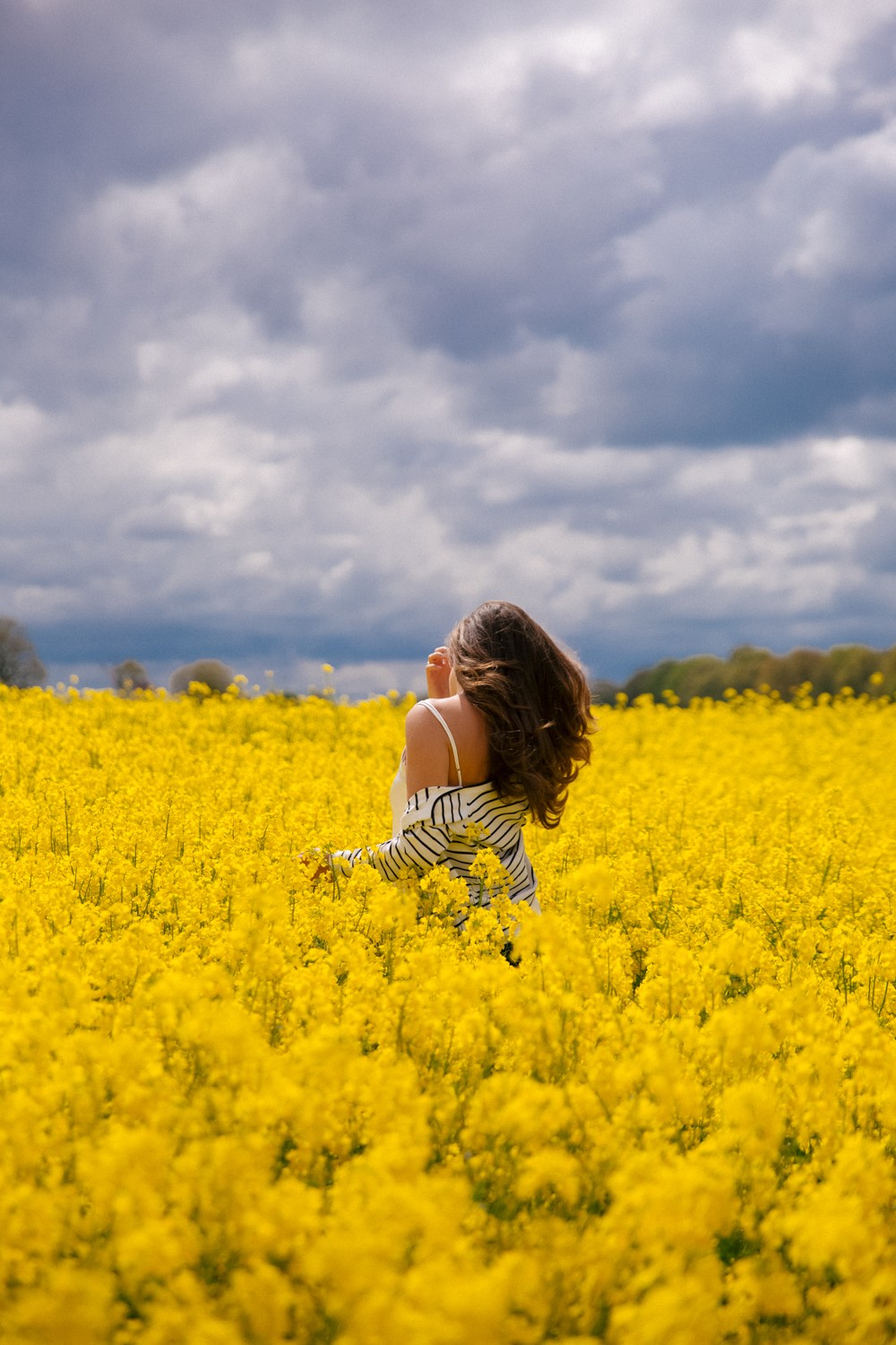 Canola field