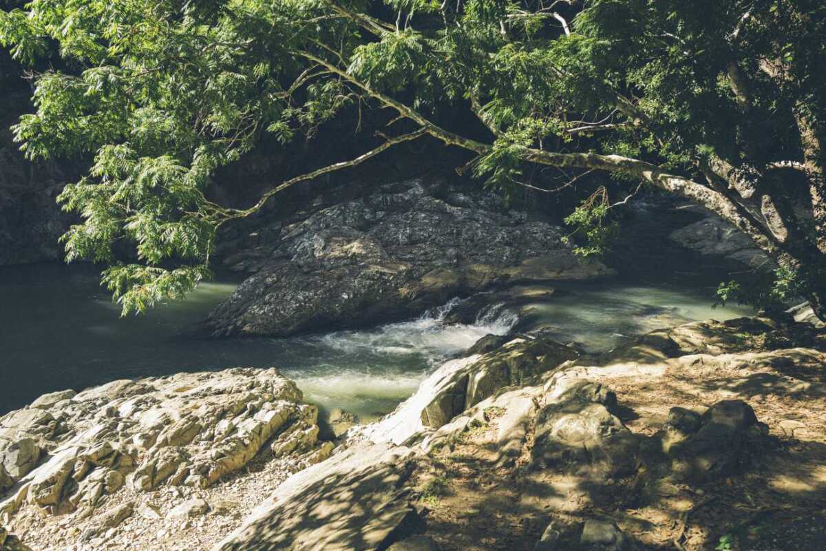 Currumbin Rock Pools Address